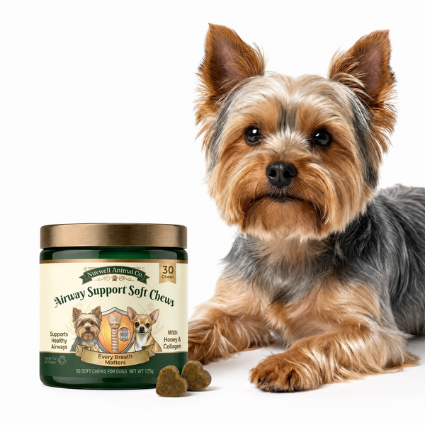 Airway Support Soft Chews for Small Breeds