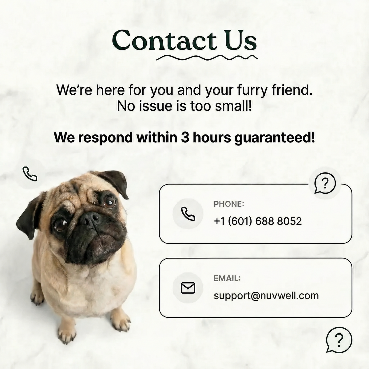 Airway Support Soft Chews for Small Breeds