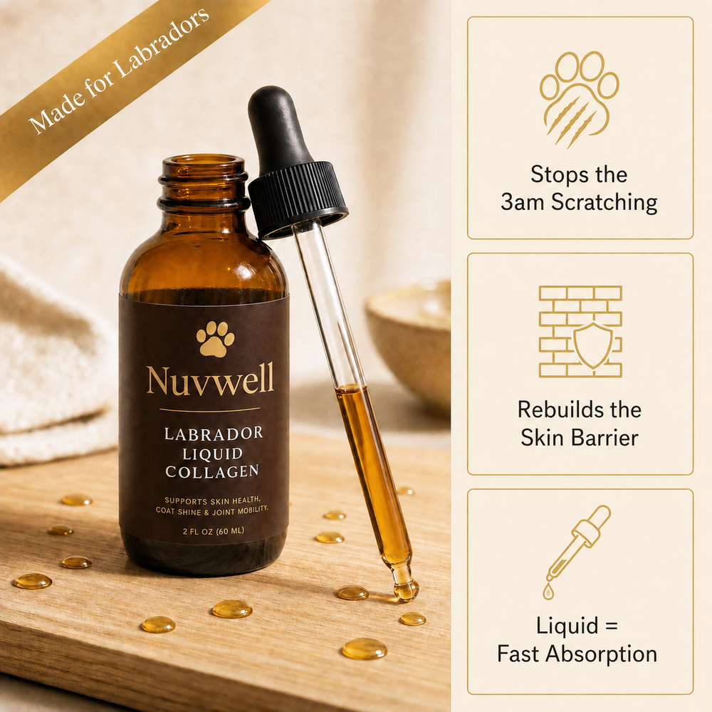 Nuvwell® Labrador Liquid Collagen