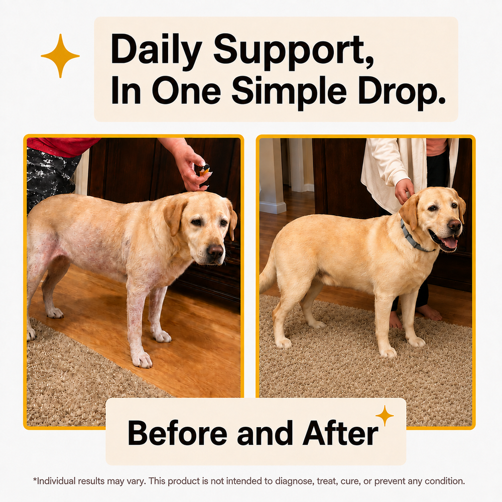 Nuvwell® Labrador Liquid Collagen