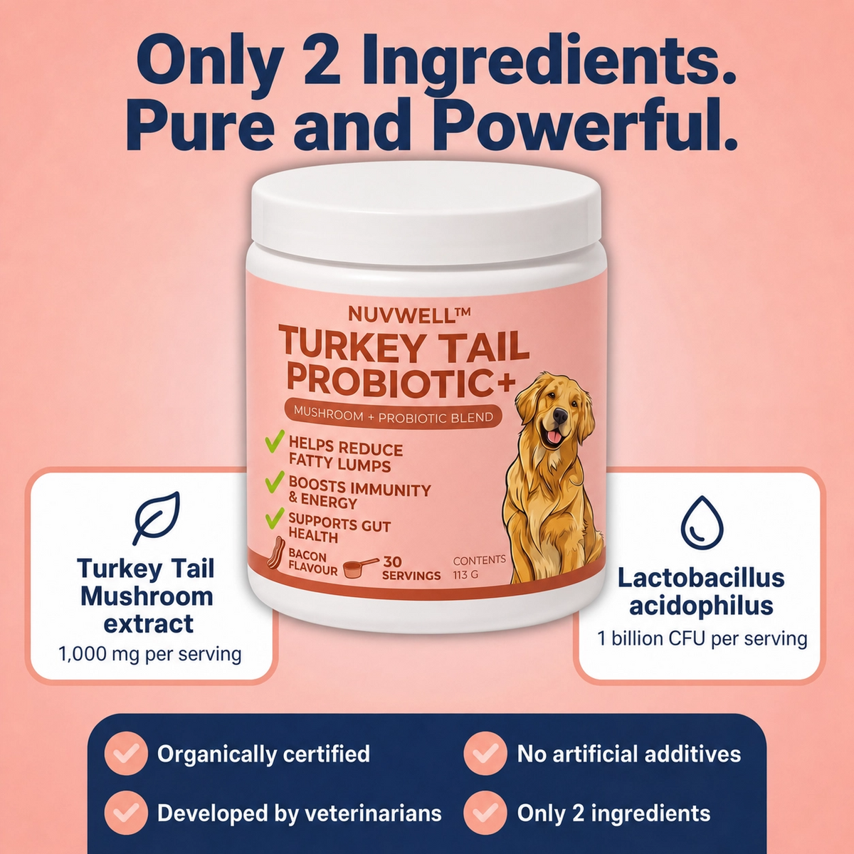 Nuvwell™ Turkey Tail Probiotic+ (New)