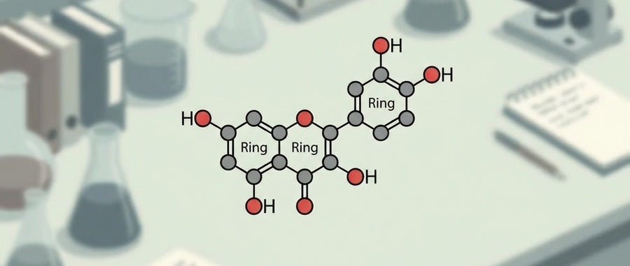 Quercetin — 19 Studies. One Verdict.