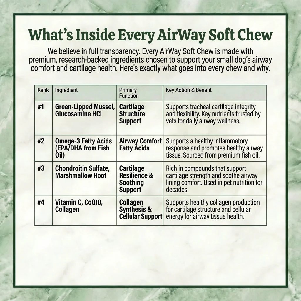 What is inside every Airway Support Soft Chew